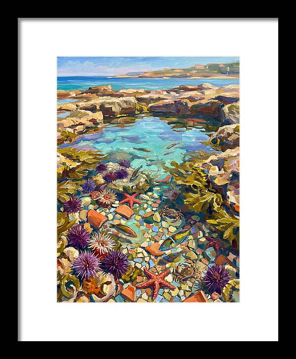 Coastal Wonders Revealed