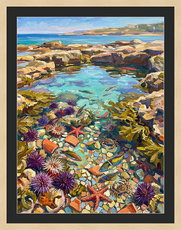 Coastal Wonders Revealed