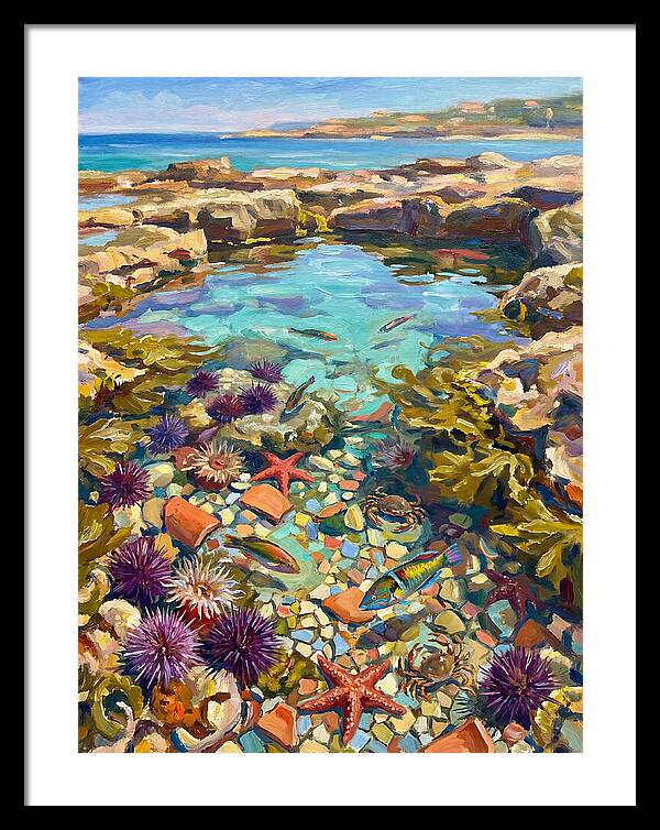 Coastal Wonders Revealed