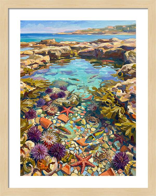 Coastal Wonders Revealed