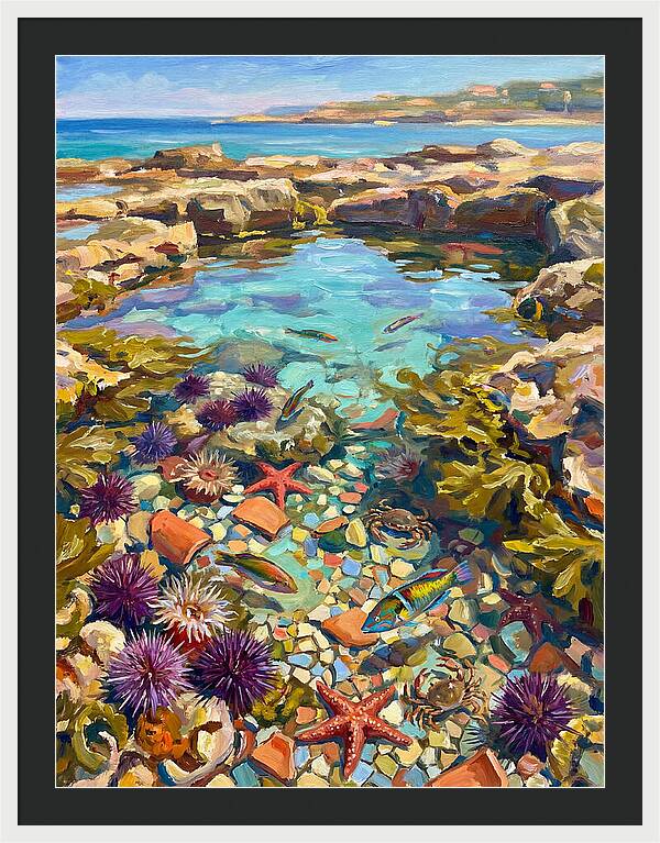 Coastal Wonders Revealed