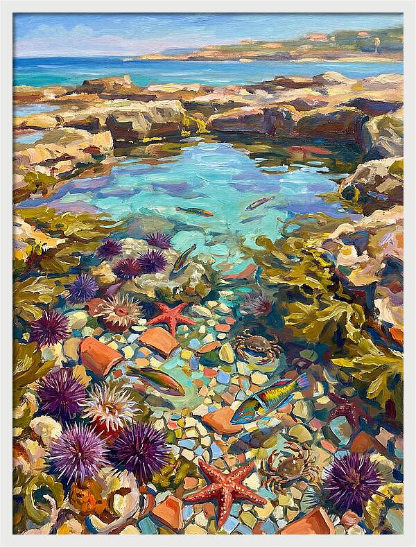 Coastal Wonders Revealed