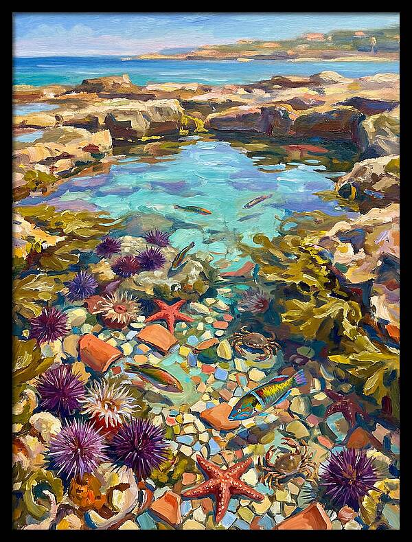Coastal Wonders Revealed