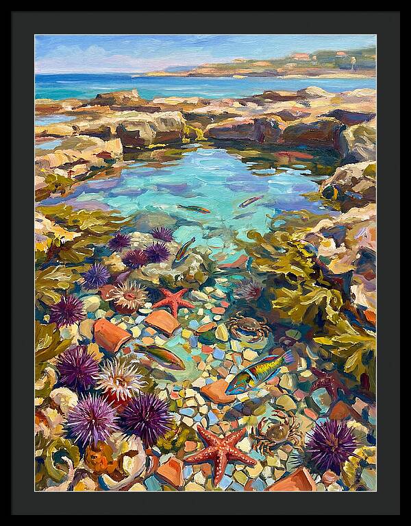 Coastal Wonders Revealed