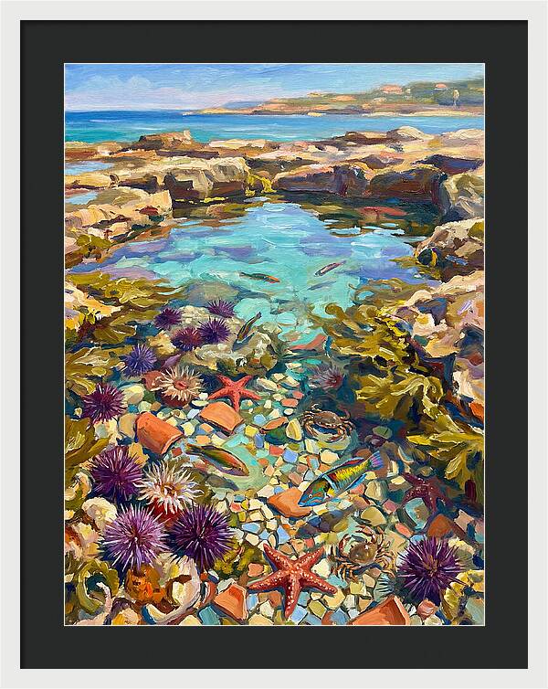 Coastal Wonders Revealed
