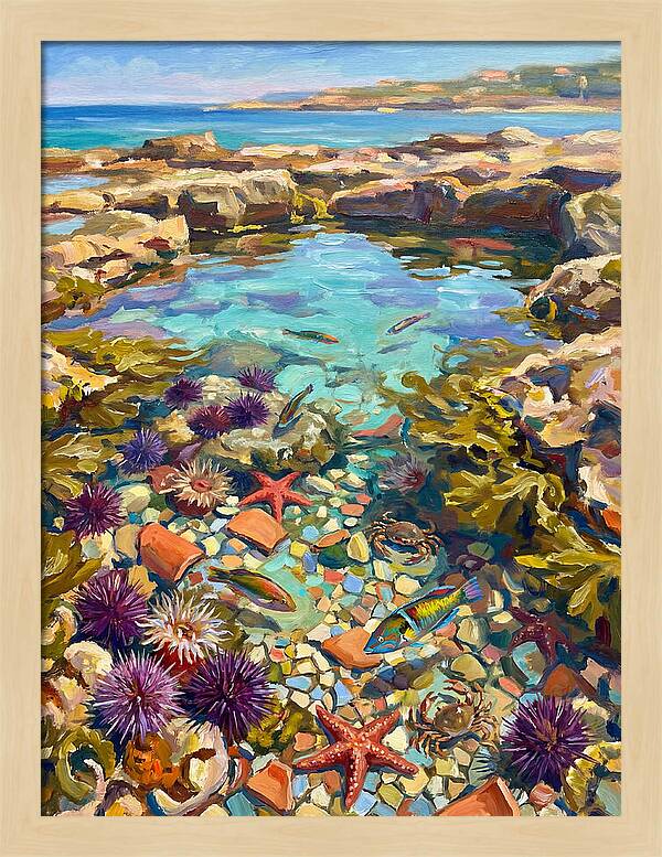 Coastal Wonders Revealed