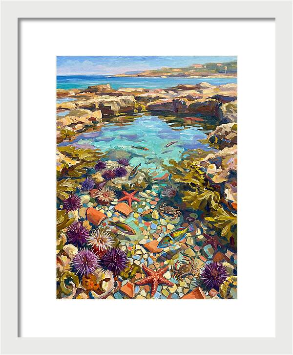 Coastal Wonders Revealed