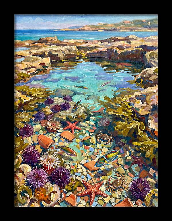 Coastal Wonders Revealed