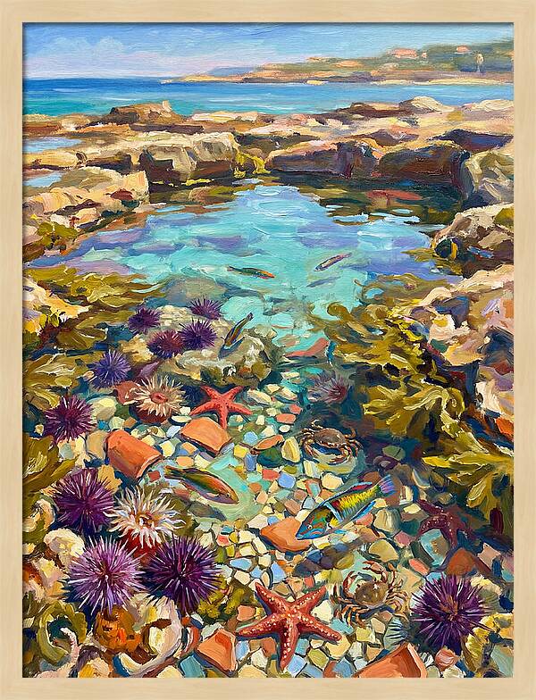 Coastal Wonders Revealed
