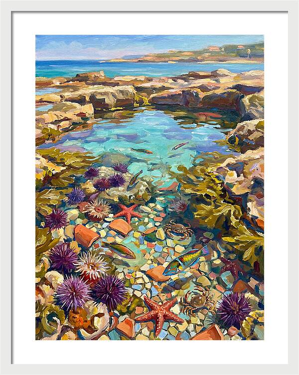Coastal Wonders Revealed