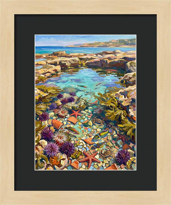 Coastal Wonders Revealed