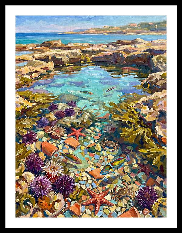 Coastal Wonders Revealed