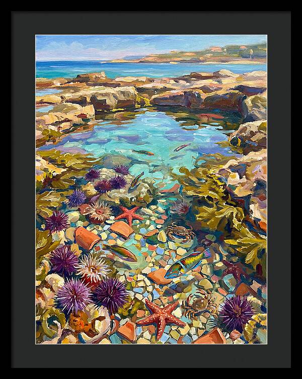 Coastal Wonders Revealed