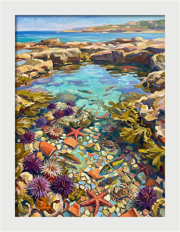Coastal Wonders Revealed