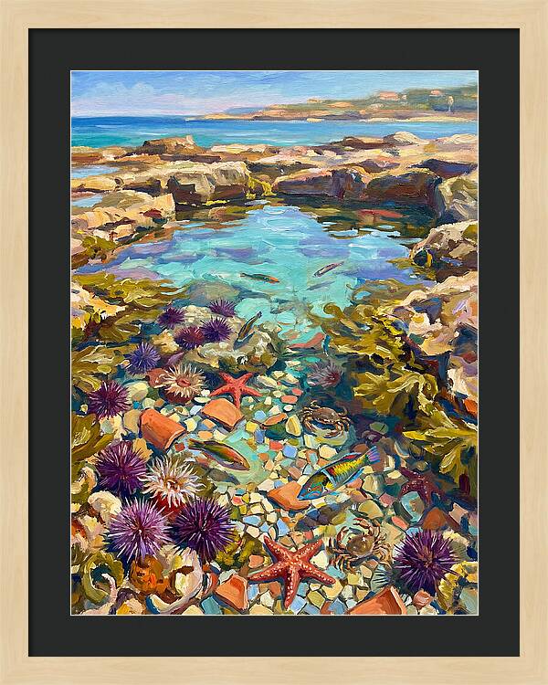 Coastal Wonders Revealed