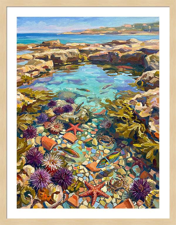 Coastal Wonders Revealed