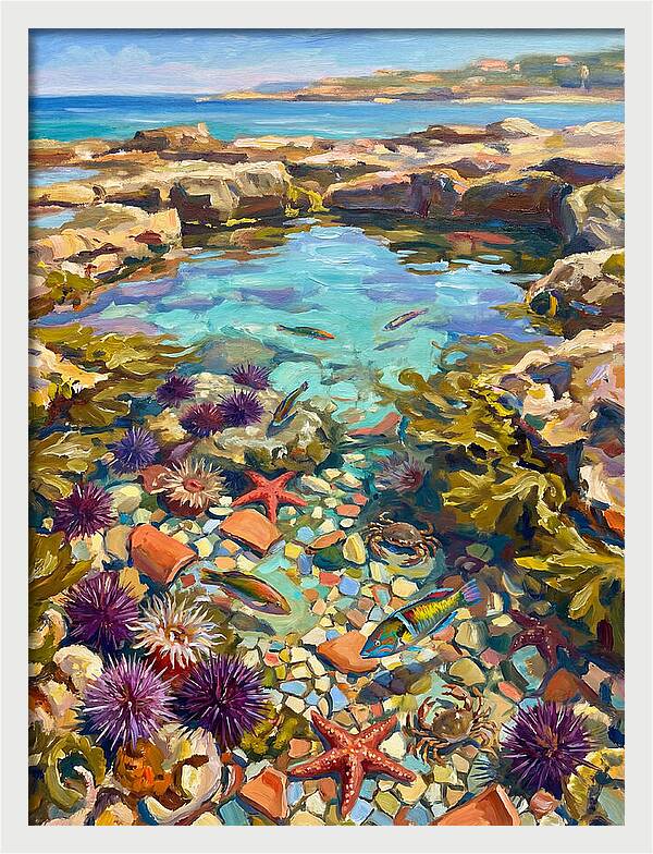Coastal Wonders Revealed