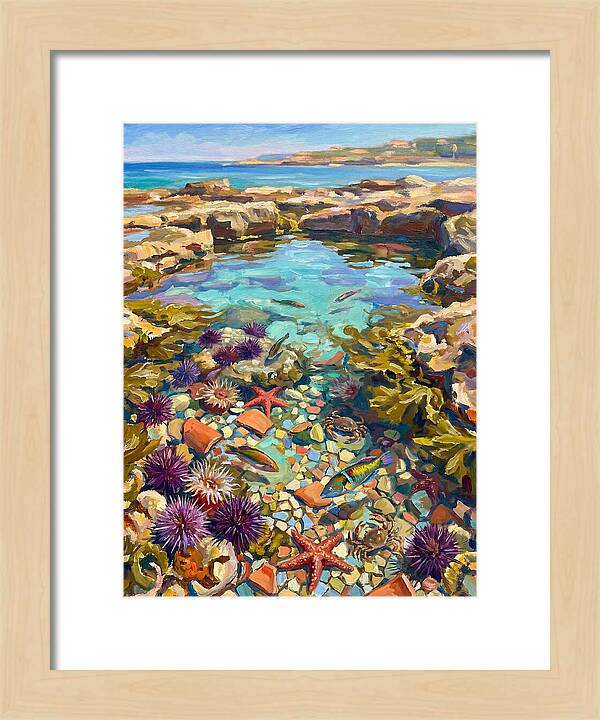 Coastal Wonders Revealed