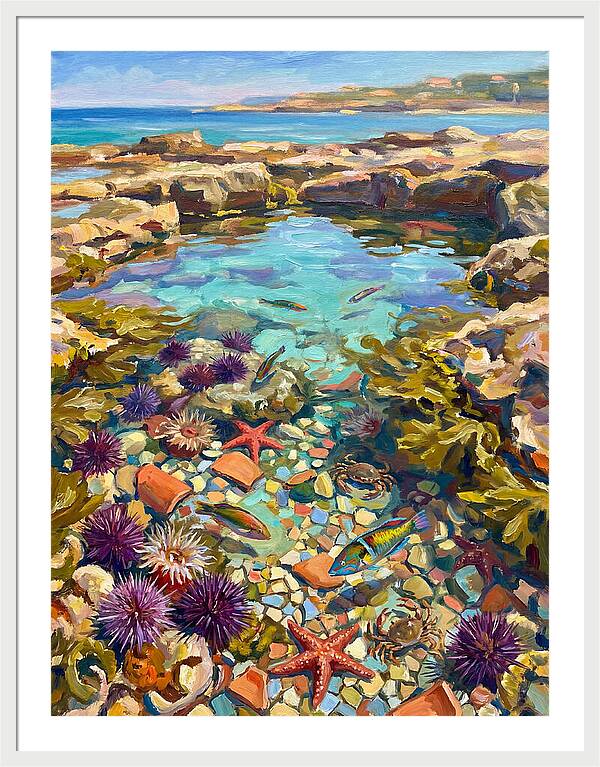 Coastal Wonders Revealed