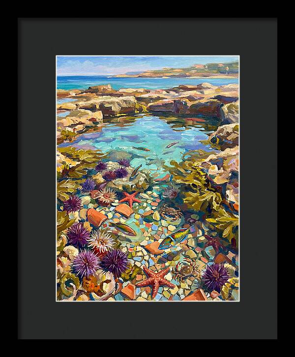 Coastal Wonders Revealed