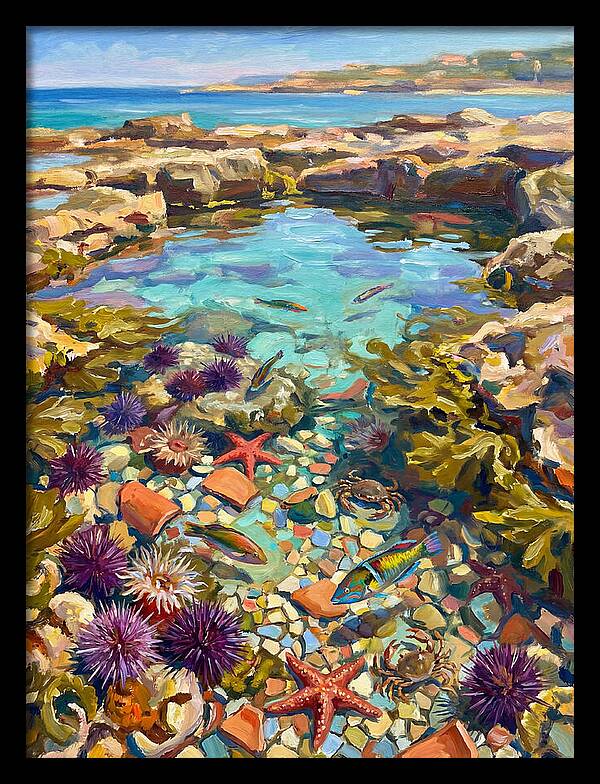 Coastal Wonders Revealed