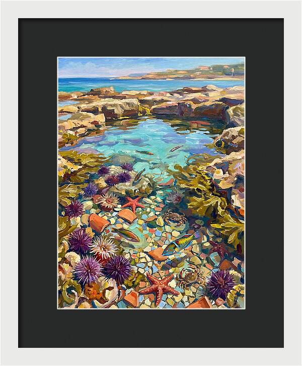 Coastal Wonders Revealed