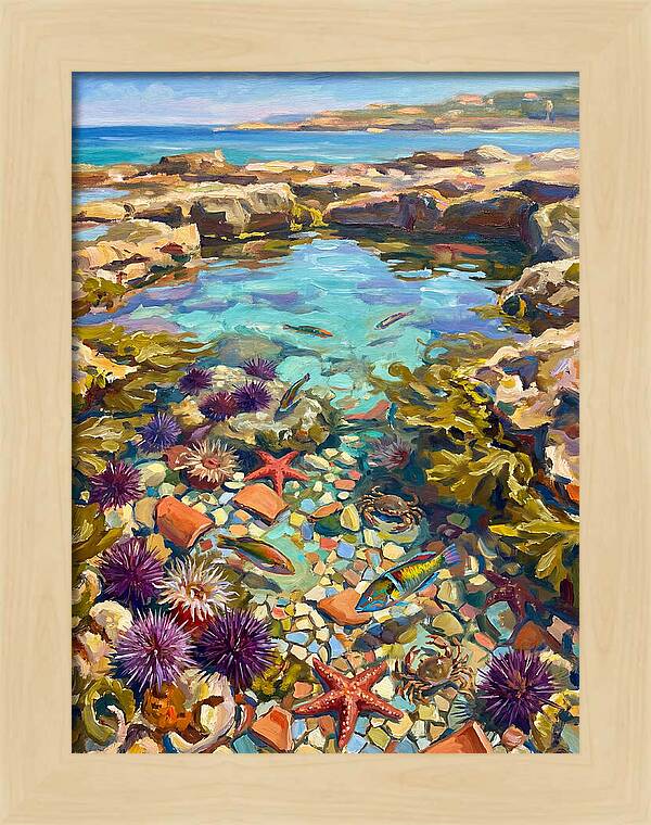 Coastal Wonders Revealed
