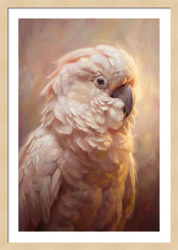Cockatoo Portrait
