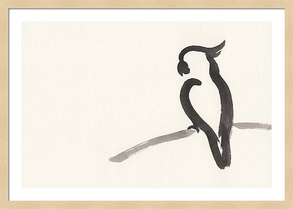 Cockatoo Silhouette In Ink