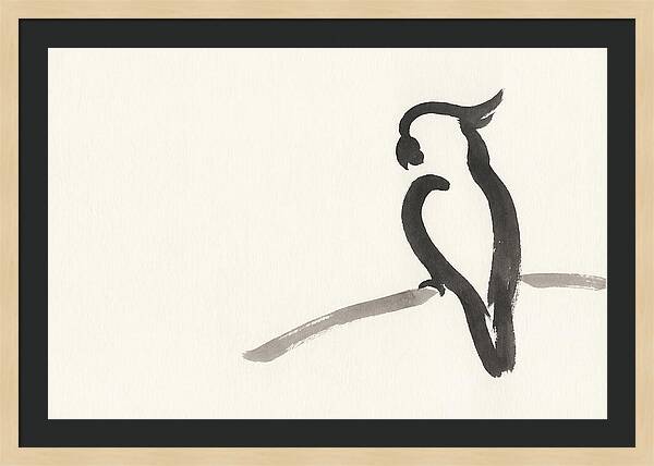 Cockatoo Silhouette In Ink