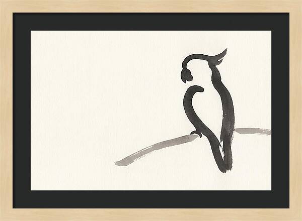 Cockatoo Silhouette In Ink