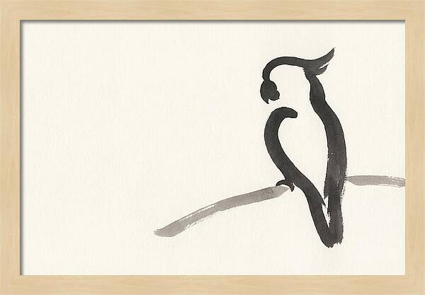 Cockatoo Silhouette In Ink