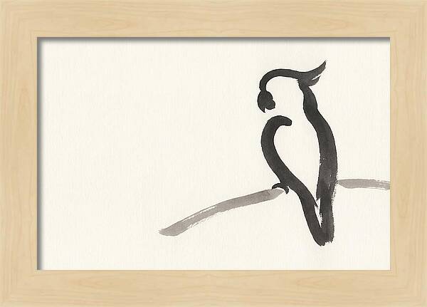 Cockatoo Silhouette In Ink