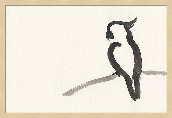 Cockatoo Silhouette In Ink