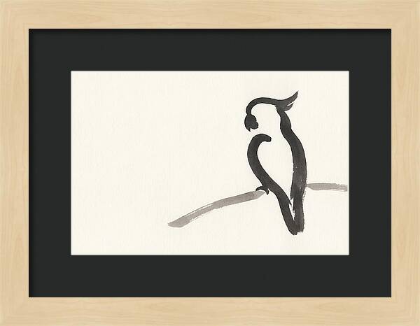 Cockatoo Silhouette In Ink