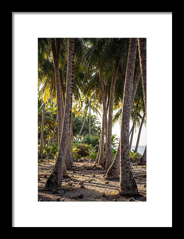 Coconut Grove Serenity
