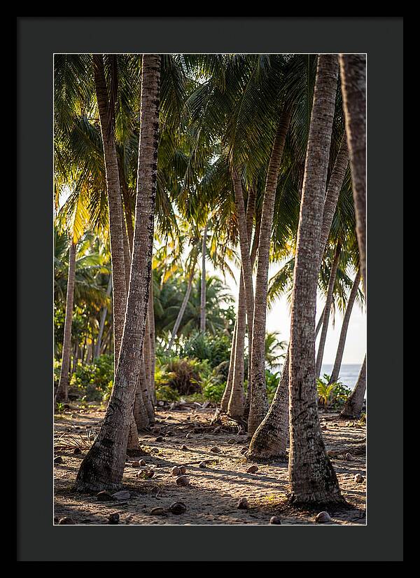 Coconut Grove Serenity