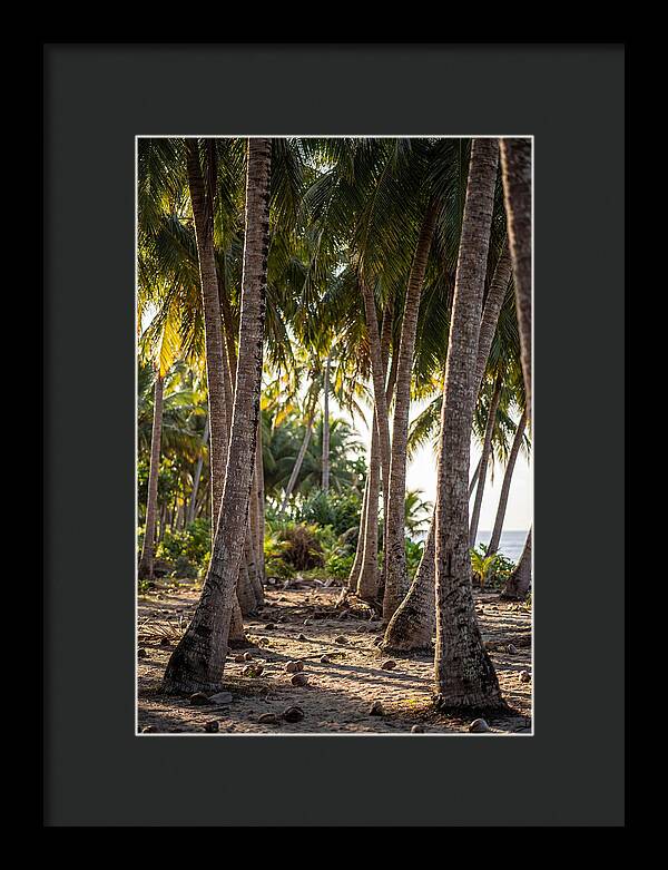 Coconut Grove Serenity