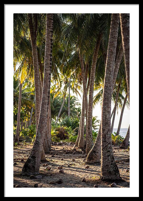 Coconut Grove Serenity