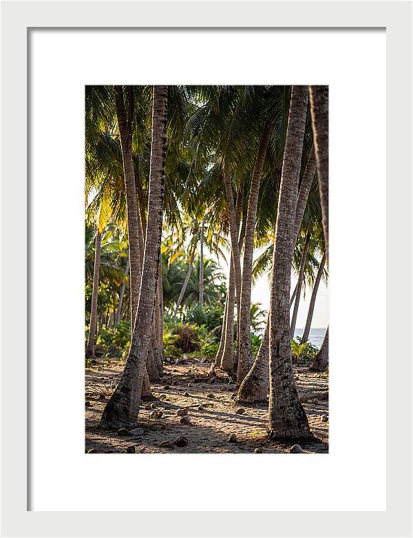 Coconut Grove Serenity