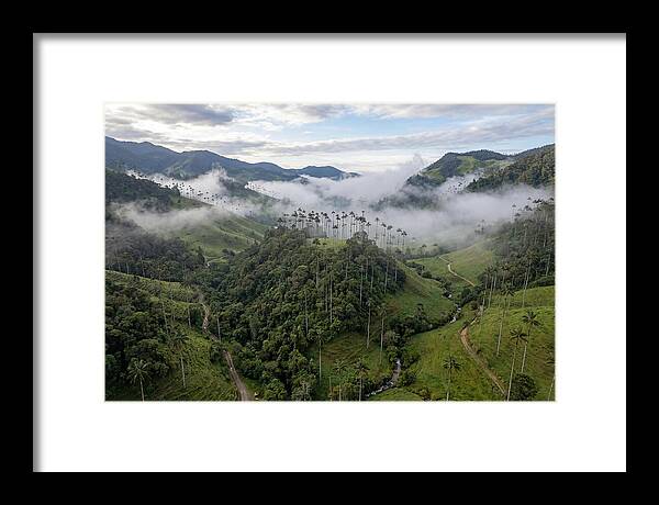 Cocora Valley Serenity