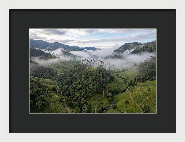 Cocora Valley Serenity