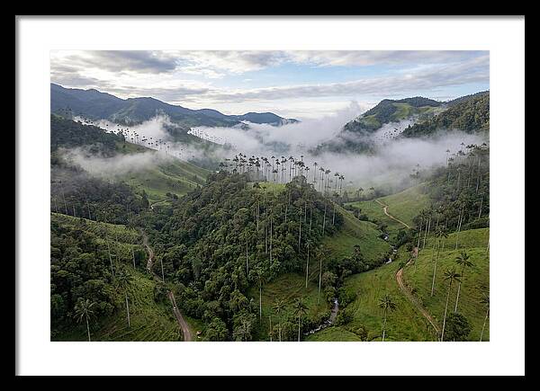 Cocora Valley Serenity