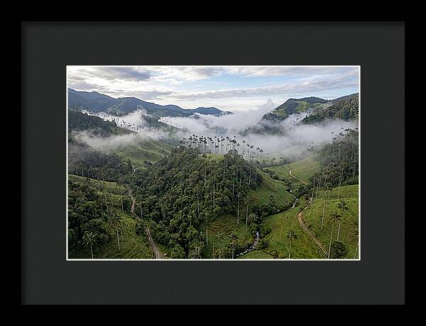 Cocora Valley Serenity