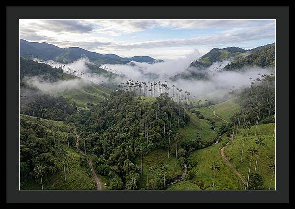 Cocora Valley Serenity