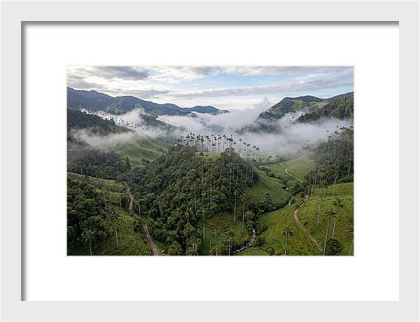Cocora Valley Serenity