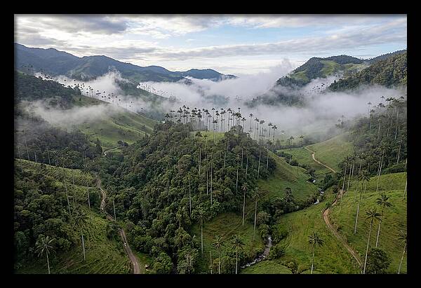 Cocora Valley Serenity
