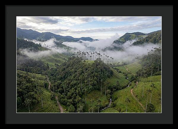 Cocora Valley Serenity