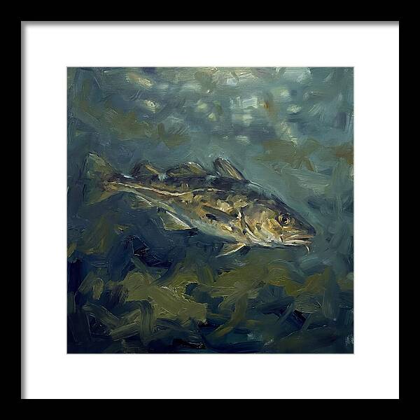 Cod Swimming In Water