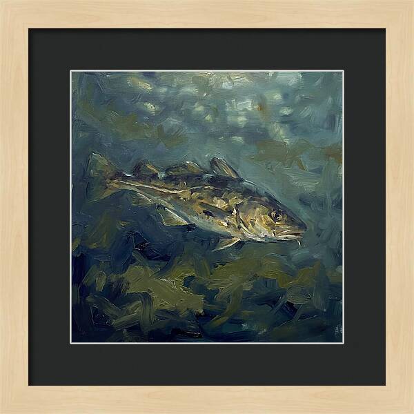 Cod Swimming In Water